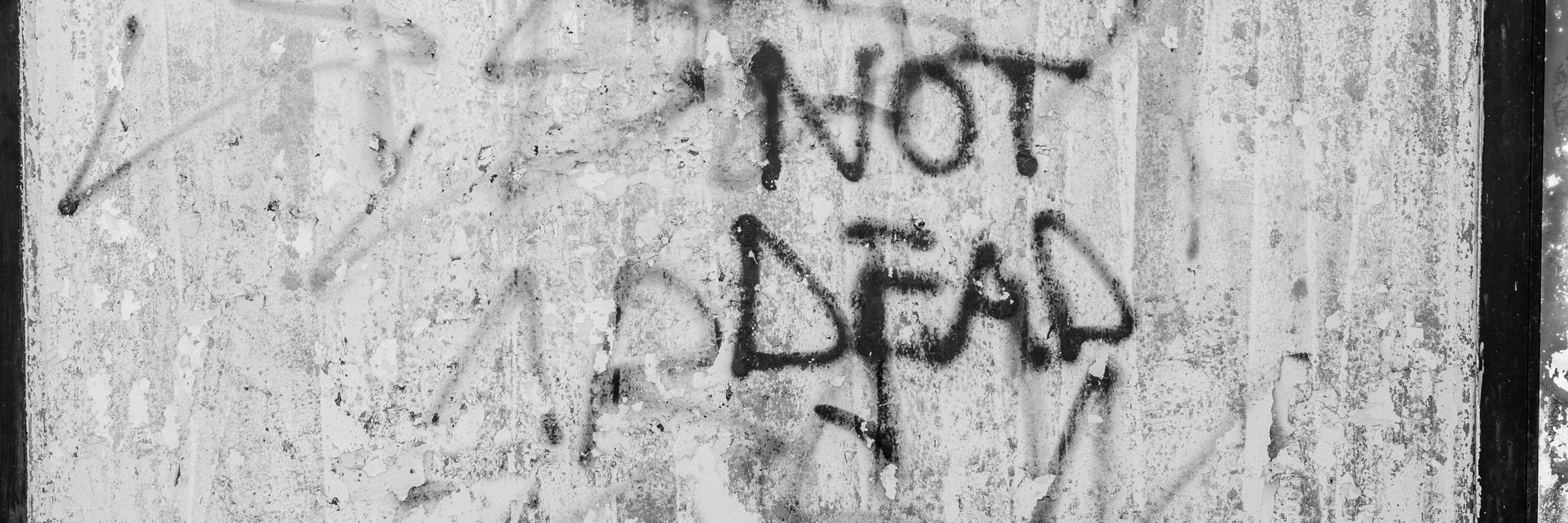 "Not dead"-Graffiti an einer grauen Wand